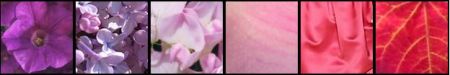 Fashion colour trends at fashion-era - The purple, orchid and cerise pink tones of colour for fashion trends for Spring 2008