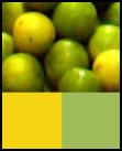Citron Green and Lemon Colours