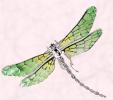 Large wide enamel dragonfly brooch pique-de-jour style in the citrus green tones of 2009