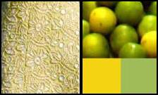 Michelle Obama Yellow
