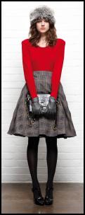 Fashion Skirt for 2010