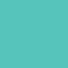 Turquoise Colour Swatch