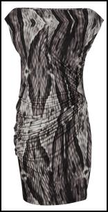 Snake Print Dress Fashion for Winter 2011/12