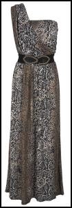 Leopard Print Maxi Dress on Leopard Animal Snake Print Maxi Dresses For 2012