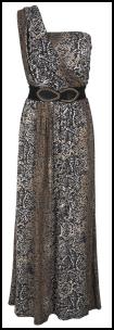 Leopard Print Maxi Dress on Leopard  Animal   Snake Print Maxi Dresses For 2012