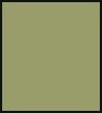 PANTONE 16-0526 Cedar.