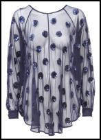 Sheer Sequin Top.