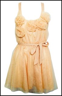 Rose Corsage Dress from Rare and Opulence Spring Summer 2011.