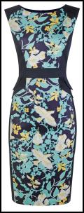  Dorothy Perkins Duck Egg Bird Print Dress.