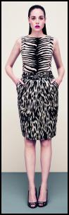 Hobbs Animal Zebra Style Print Top & Skirt.