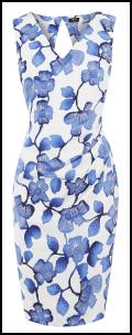 Oasis SS12 Blue Flower Dress on White. 
