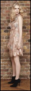 Miss Selfridge Scallop Lace Embellished Cocktail Party Dress.