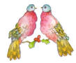 2 Turtle doves