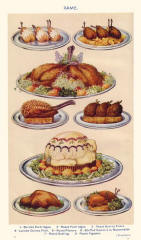 Colour Food Plate of Poultry and Game a Traditional Aspect of Christmas.