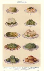 Colour Food Plate of Vegetables