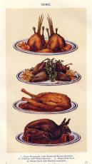 Colour Food Plate of Poultry and Game a Traditional Aspect of Christmas.