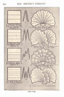Napery. Picture of stages of a napkin fold in the style of a fan.