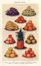 Colour Food Plate of Dessert Fruit