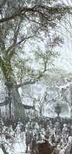 Picture of the interior of the Crystal palace showing the tree. Costume History, fashion history.