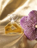 Infini is an original Caron aroma of the early 1970s.