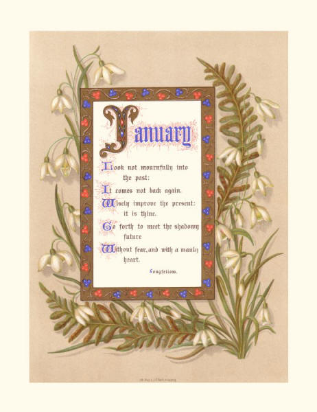 Months in the Calendar January