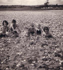 Llangorse lake 1950s
