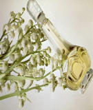 Muguet Du Bonheur Perfume by Caron