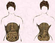 Picture of two female bodies with cut out views of internal organs and the possible deformation caused by lacing.