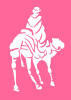 Man and Camel