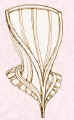 Picture of a metal corset.