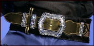 Swarovski encrusted belt from Lacroix.