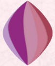 Purple Colour Trends for Fall 2007, Winter 2008