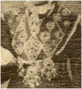 Norwegian Bride Close Up of Bodice 1883 Decorative Ornament