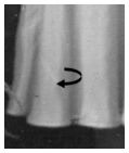 Skirts had cross cut or circular fullness.  Notice the seam line shown which illustrates a pieced bias cut fabric.