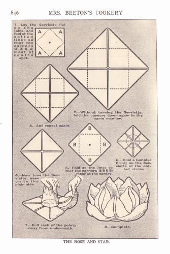 Napkin Fold Instructions