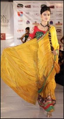 Yellow Gold  Sari Model - Vibrant Fashion Week Gujarat India 2010