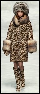leopard skin clothes