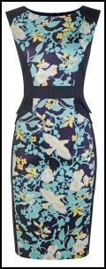 Dorothy Perkins Duck Egg Bird Print Dress.
