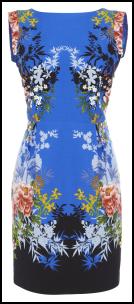 Oasis SS12 Blue Print Dress.