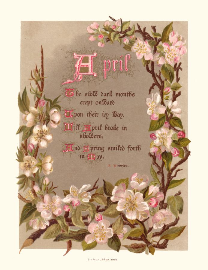 04 месяц это апрель